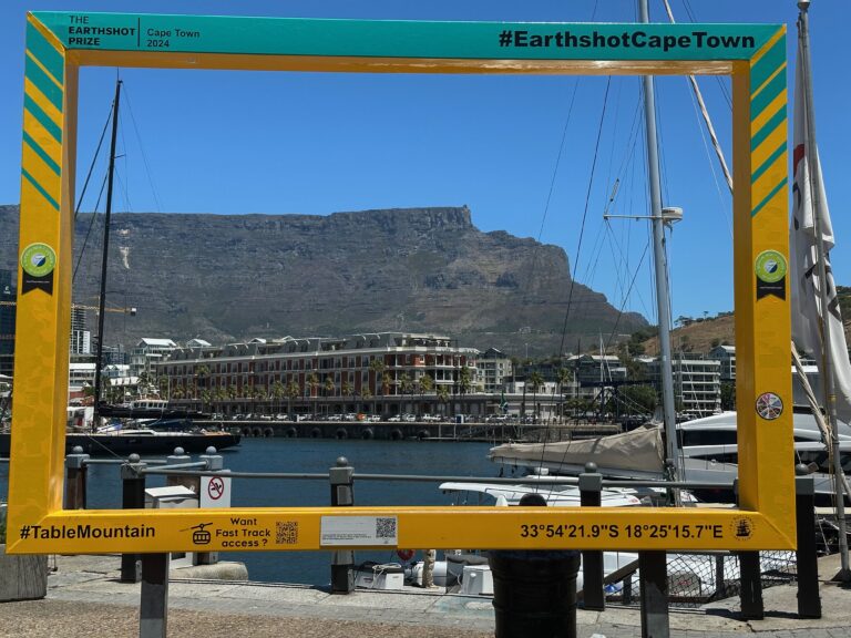 05. Januar – 01. März 2026 – Cape Town II